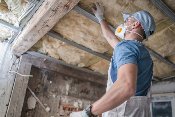 Best Specialized Insulation Services in Oriole Beach, FL