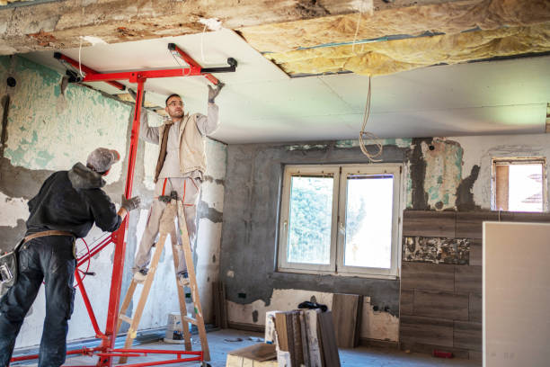 Best Insulation Maintenance and Repair in Oriole Beach, FL