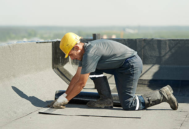 Best DIY Insulation Kits and Guidance in Oriole Beach, FL
