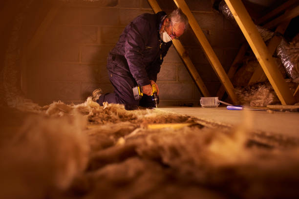 Best Residential Insulation in Oriole Beach, FL